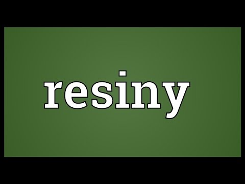 Header of resiny