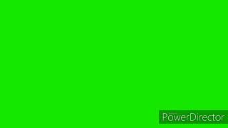 Timon And Pumbaa Interrupt 3.5 Green Screen