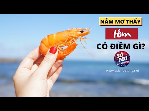 Nằm mơ thấy tôm có điềm gì? Đánh đề số nào may mắn? | Asianbetting.net