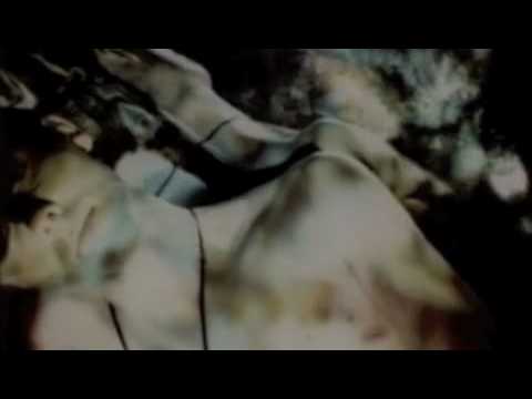 The Black Lotus Video