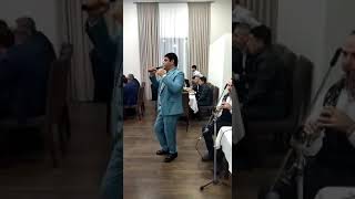 Zaur Cənublu Toy
