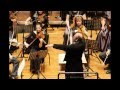 Mahler: Symphony No. 1 in D major, Titan