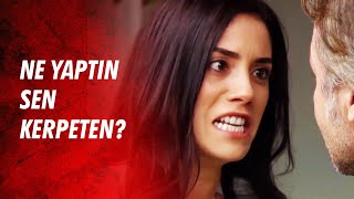Biricik Babacığım Tehlikede