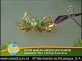 Bisutería. Aretes con botellas plásticas. Reciclaje de botellas.