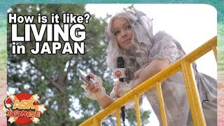 WHAT does JAPAN HAVE that other countries DON'T HAVE?! Ask Cathy Cat about Life in Japan