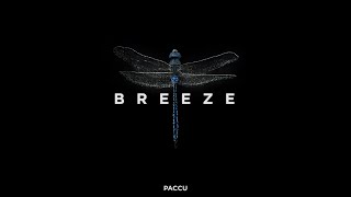 Paccu - Breeze