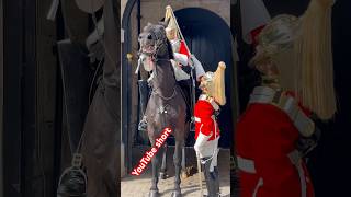 Unsettled Horse Chaos Royal Guard Helmet Hair And Sword Struggles
