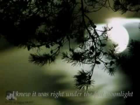Teriyaan Ve by Amanat ali (rey_tiger2002yahoo.com)