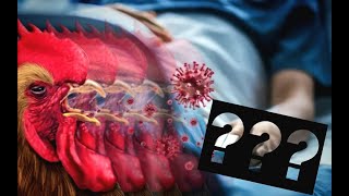 First Case Of H5N2 Bird Flu, Everything You Need To Know