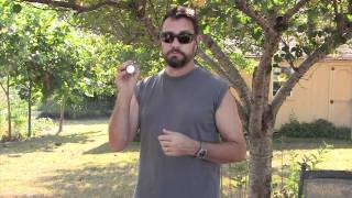 Fenix Ld40 Flashlight Review