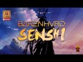 BARENHVRD - Senshi [Otodayo Records]