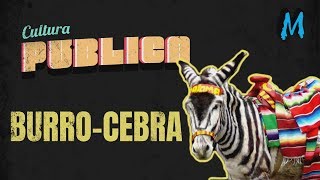 Cultura Publica: La Historia del Burro-Cebra en Tijuana