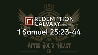 1 Samuel 25:23-44