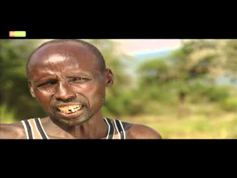 hydroponic lawn for sale