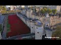 Riding the wave: drone-view of Tower of London poppy field