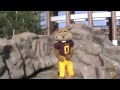 B1G Mascots "Call Me Maybe" by Carly Rae