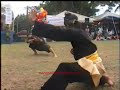 image Gayong Master Cikgu Jebat Cikgu Majid S Son In Combat