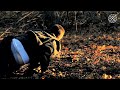 BLUE FELIX FEAT. SID WILSON - MIDDLE FINGER UP (OFFICIAL HD VERSION)