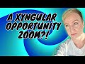 A Xyngular Opportunity Zoom?! | #antimlm | #erinbies | #xyngular