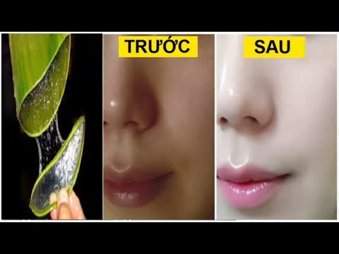 1 Lá Nha Đam – 3 Cách Làm Đẹp Cực Chất Hiệu Quả Như Đi Spa