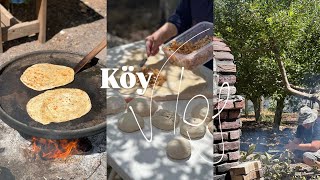 Bahçede Kişlik Hazirliği, Ahşapları Boyadık, İmplant Tedavisi Başladı, Pazar Turu