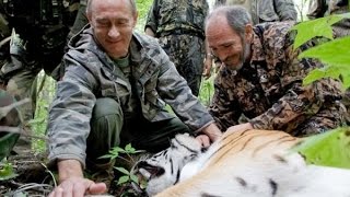 Подшефный Владимира Путина тигр Кузя ушел в Китай