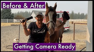 Getting A Horse Camera Ready| Before & After| How-to Groom A Horse