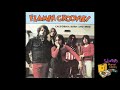 Flamin Groovies "Supersnazz Radio Ad" Flamin Groovies "Supersnazz Radio Ad"