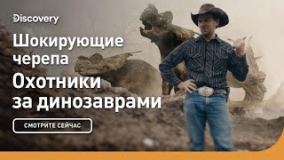 Шокирующие Черепа | Охотники За Динозаврами | Discovery