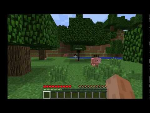 An Introduction To Minecraft For BEGINNERS!: Part 1
