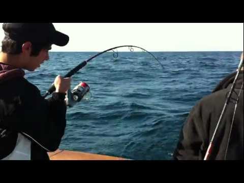 Deep  Fishing Vero on Yellowtail Kingfish Deep Sea Fishing  03 28