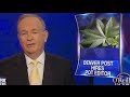 Bill O'Reilly OUTRAGED Over Marijuana Journalism Bill O'Reilly OUTRAGED Over Marijuana Journalism