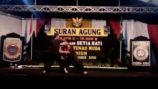 Suran Agung SH Winongo 2016 Seni Sambung Bersenjata