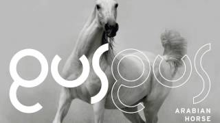Gusgus - Magnified Love 'Arabian Horse' Album