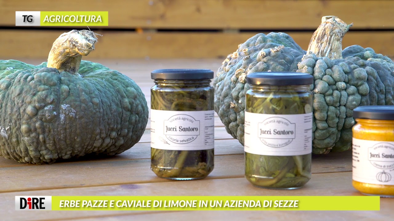 Tg Agricoltura, edizione del 28 novembre 2020