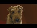 Online Movie Firehouse Dog (2007) Watch Online
