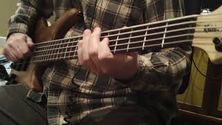 Roscoe Skb 5 String B - St. Tropez