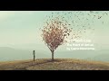 The Plumb Line Video preview