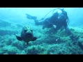 Tone Stojko - Between Barracudas, 2011