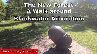 A 5 minute walk around Blackwater Arboretum in The New Forest