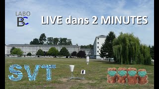 Cours Svt Ts 27052020 Suite
