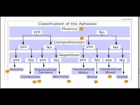 Types Of Dysarthria Chart