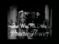 Online Film My Little Chickadee (1940) Free Watch