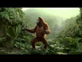 crazy monkey sex