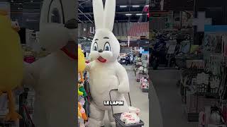 Ce Lapin A Refait Sa Journée