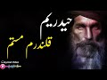 Haiderium Qalandaram Mastam | Best Sufi Kalam | Mola Ali | lal Shahbaz Qalandar | Zain Shakeel