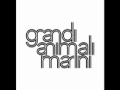 Grandi Animali Marini - Finestre
