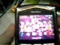 Foto pequena Blackberry 8700g