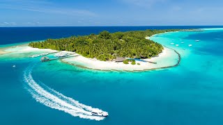 Kuramathi Maldives 2019 (Updated)