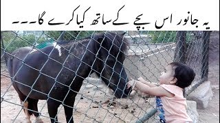 Funny KIDS vs ZOO ANIMALS are WAY FUNNIER! 🙈🐅🦁 TRY NOT TO LAUGH-M.A Hadi
